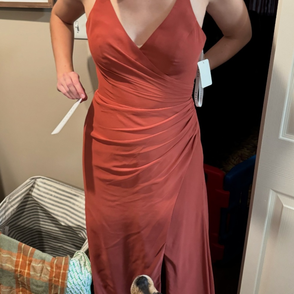NWT Azazie Ariella Terracotta Gown Wedding Guest Bridesmaid Dress